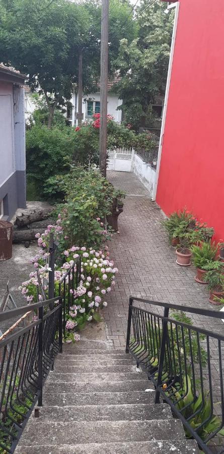Stan Za Iznajmuvanje So Parking,Blisku Do Centar. Kumanova Dış mekan fotoğraf